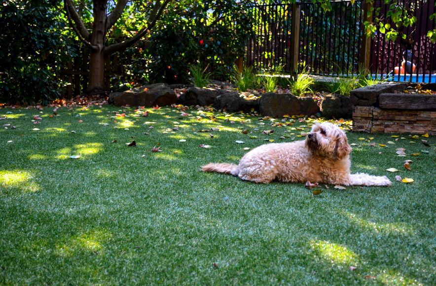 Private landscape project in Plenty
