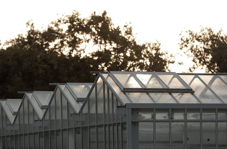 Domain Glass Houses