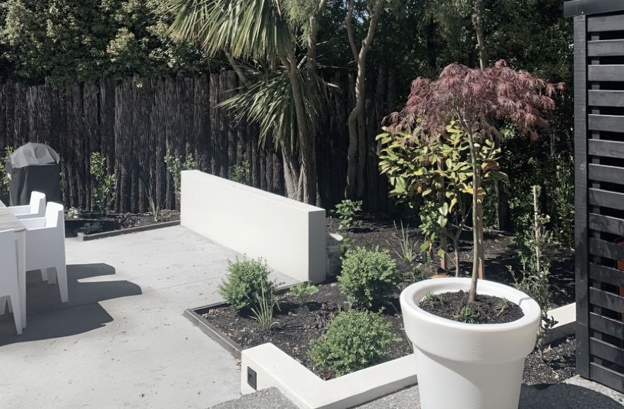 Dunedin Landscaping