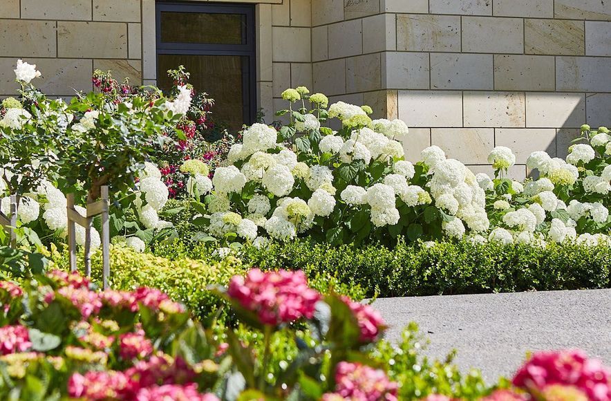 Havelock Hills Garden