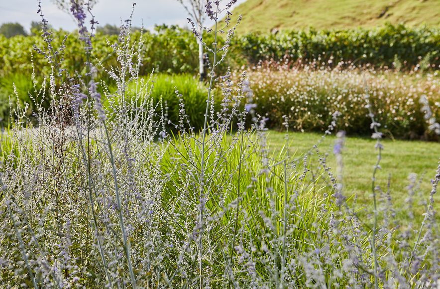 Gimlet Gravels Garden