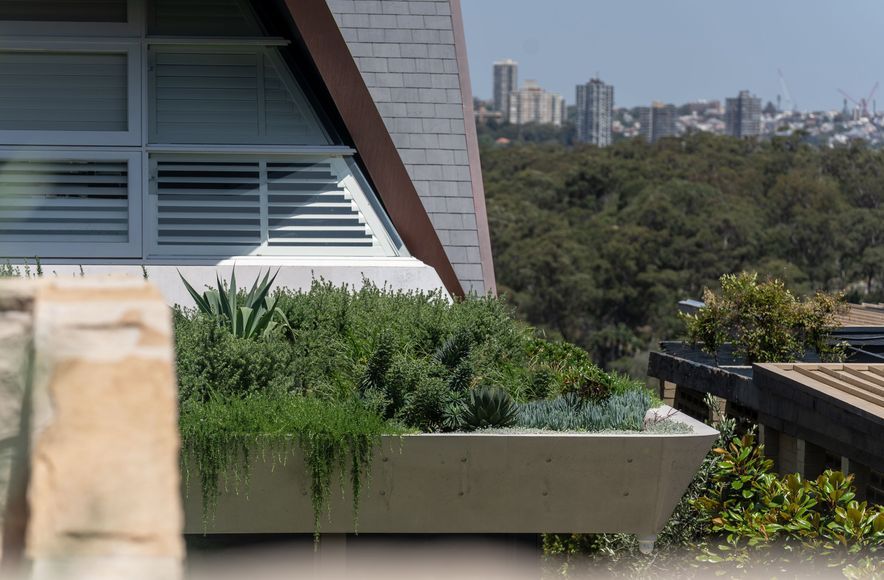 Mosman (Kardinia)