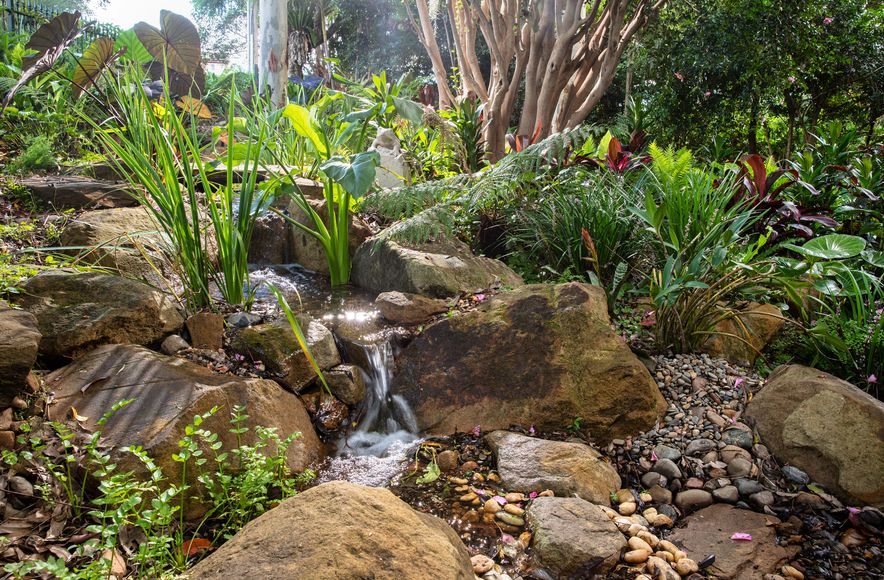Forest Creek
