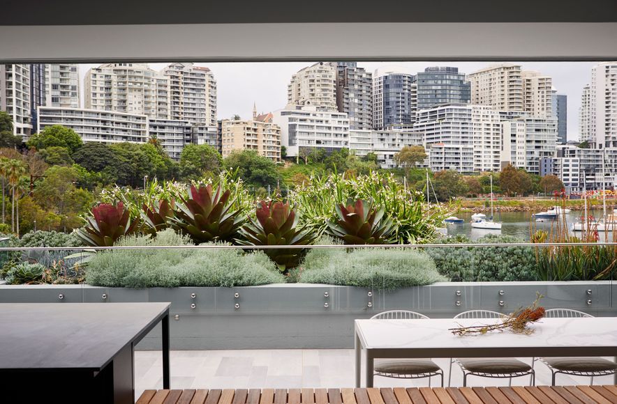 Lavender Bay