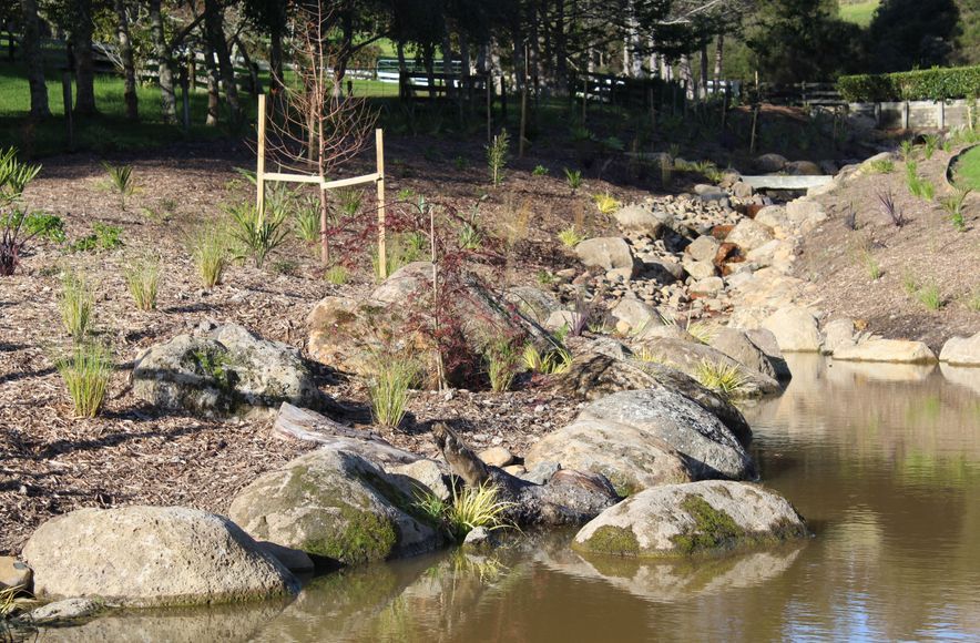 Beautiful Stormwater