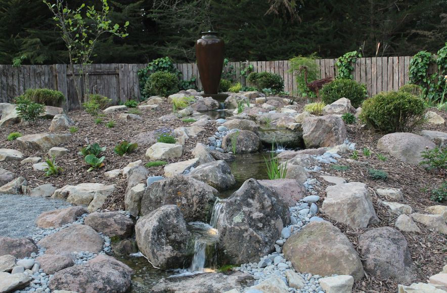 Pondless Paradise