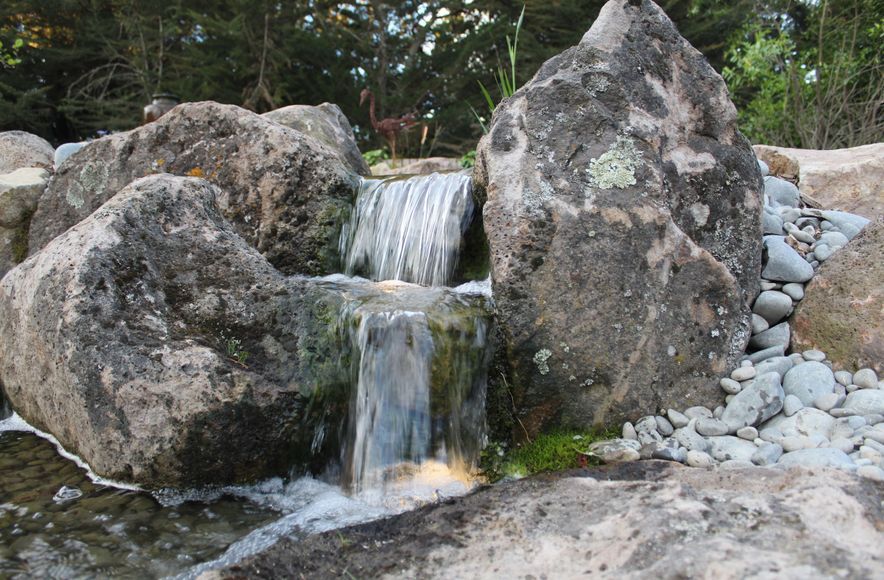 Pondless Paradise