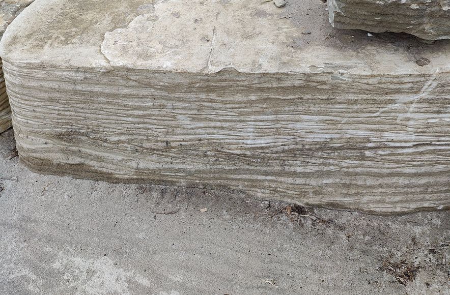 Foreshore Remediation