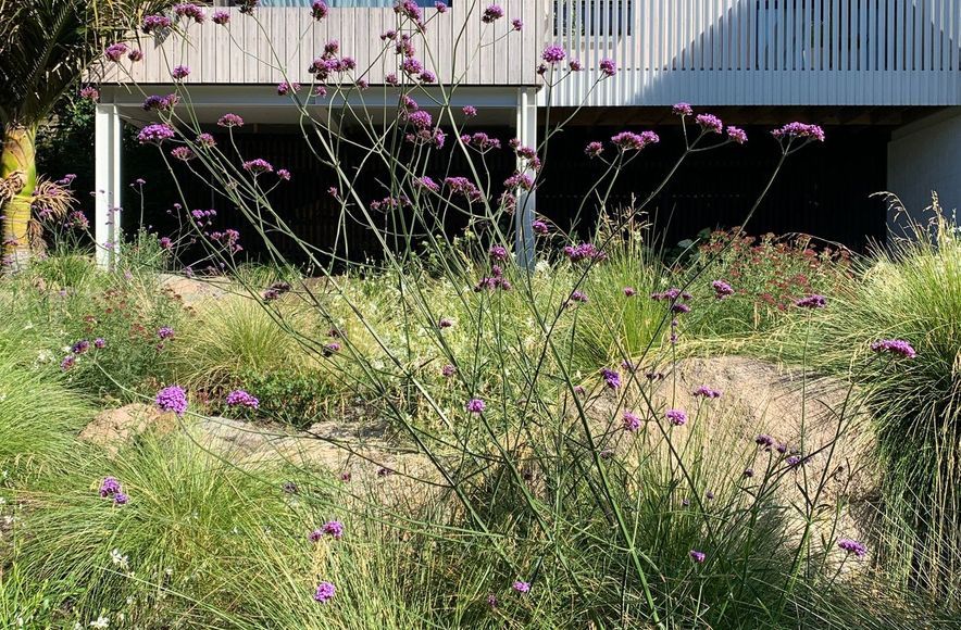 Sumner Garden