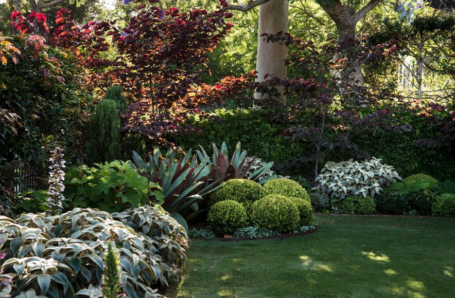 The Gatehouse Garden