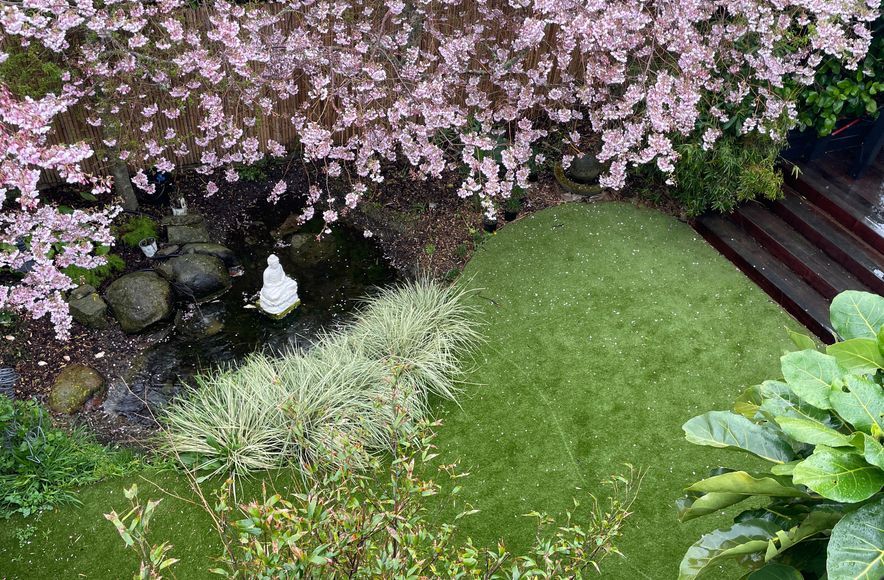 Urban Turf