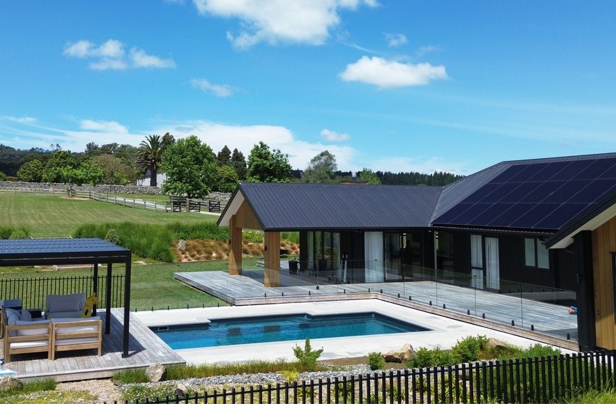 Kahikatea