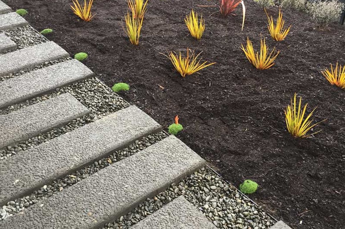 Soft Landscaping Design