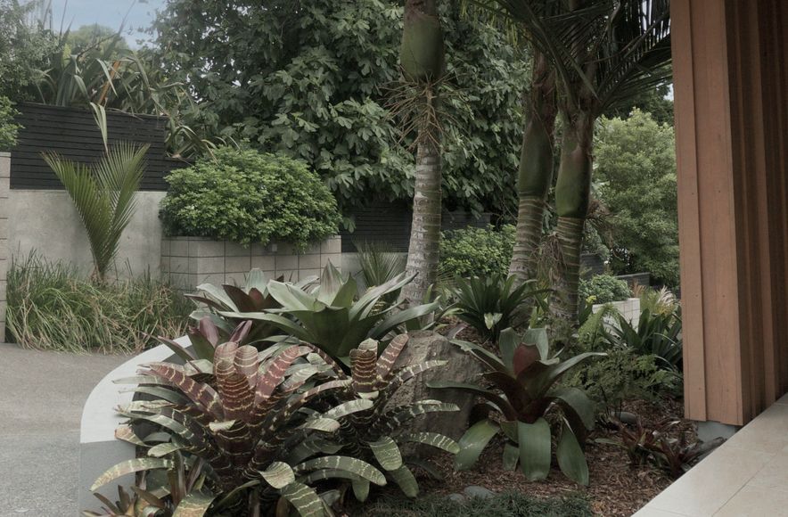 Nikau House