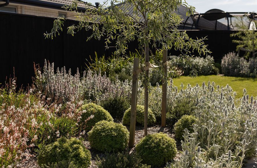 Wai-iti Garden