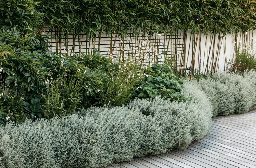 Pool Garden