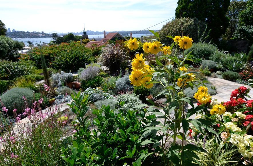 Rose Bay
