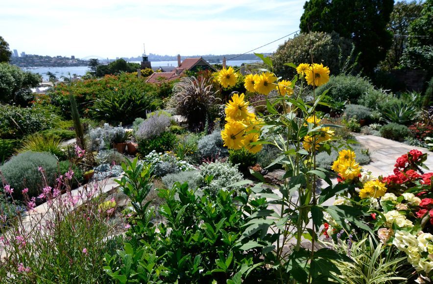 Rose Bay