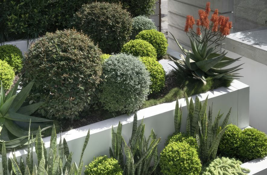 Chic Courtyard