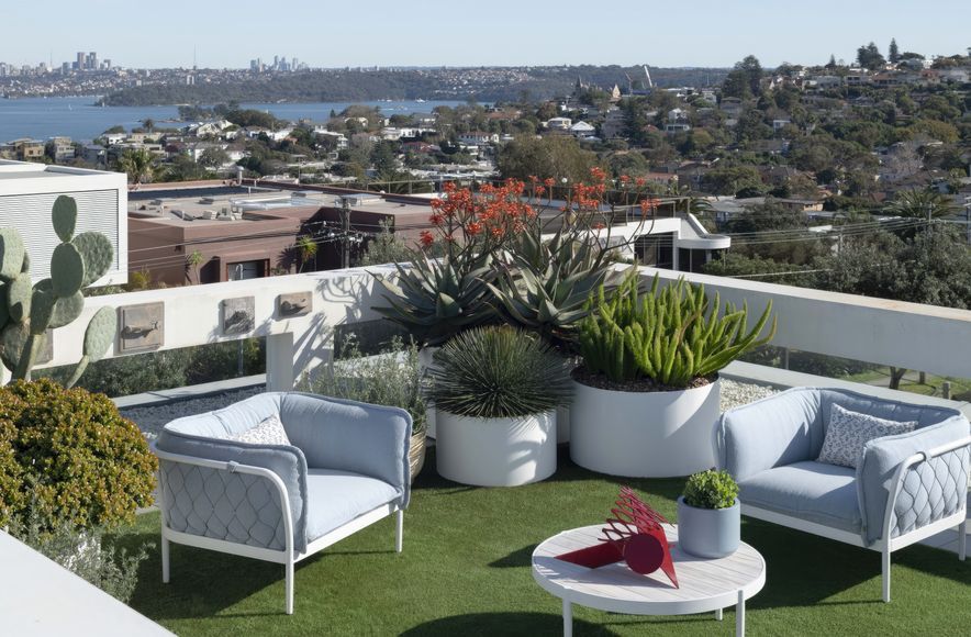 Dover Heights Rooftop