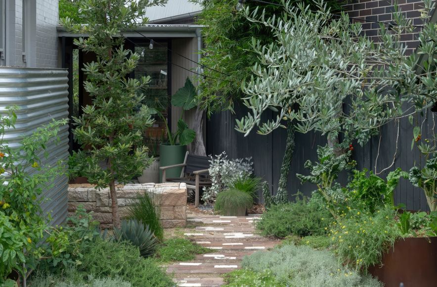 Neighbourhood Natural