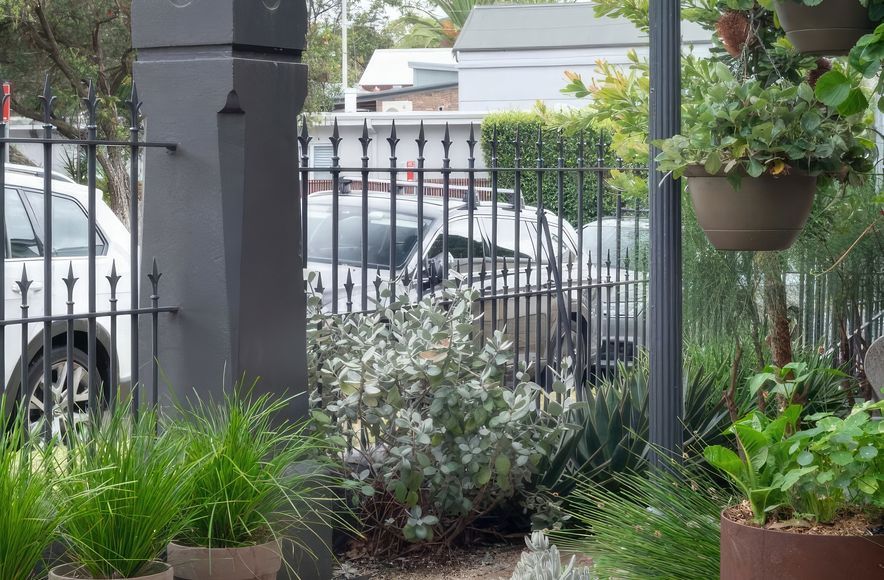 Neighbourhood Natural