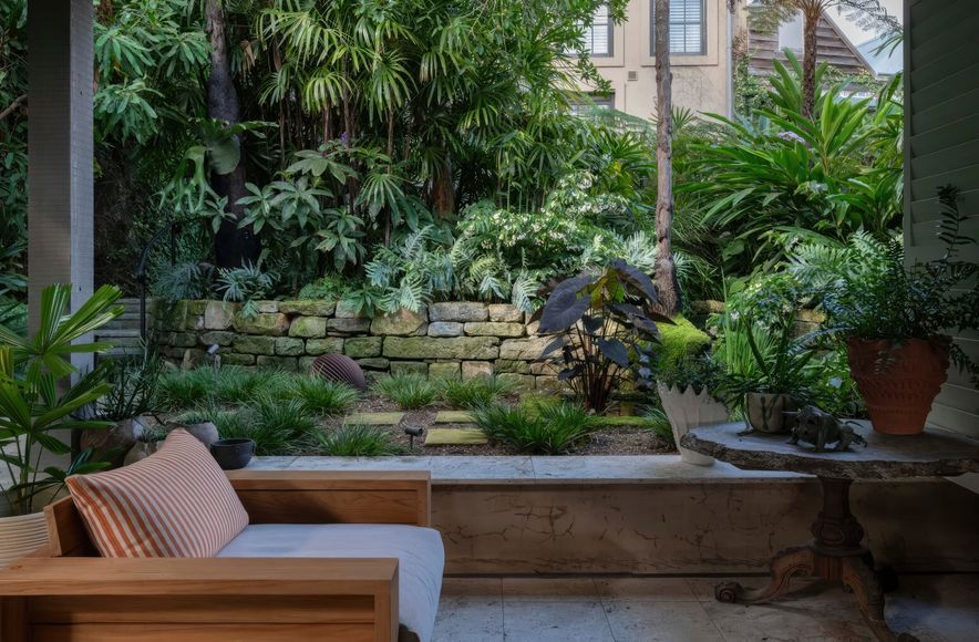 Subtropical Oasis