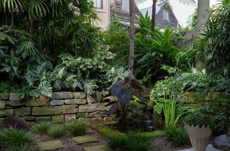 Subtropical Oasis