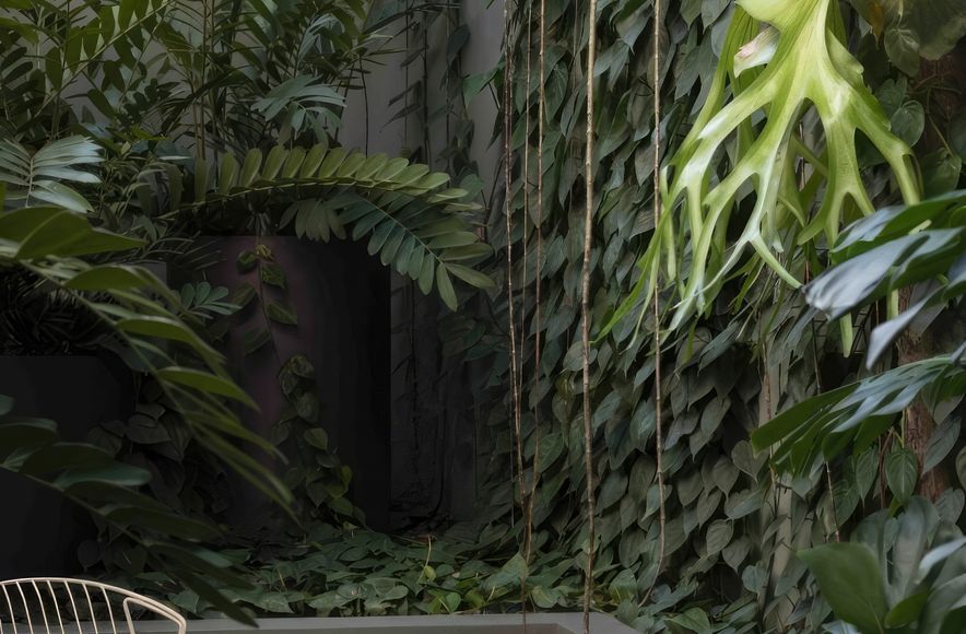 Urban Jungle