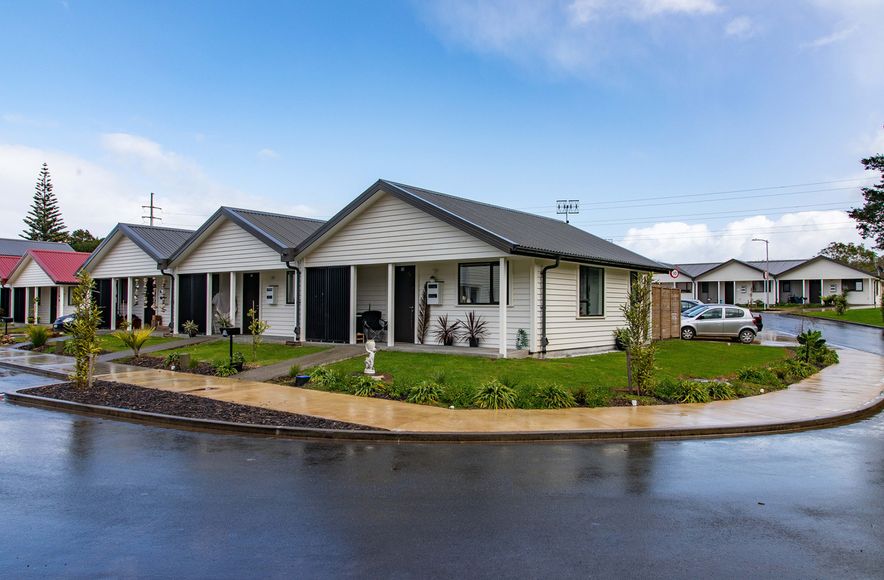 Puriri Park - Urban Development and Public Housing