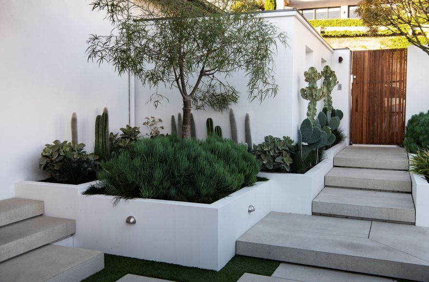 The Succulent Garden
