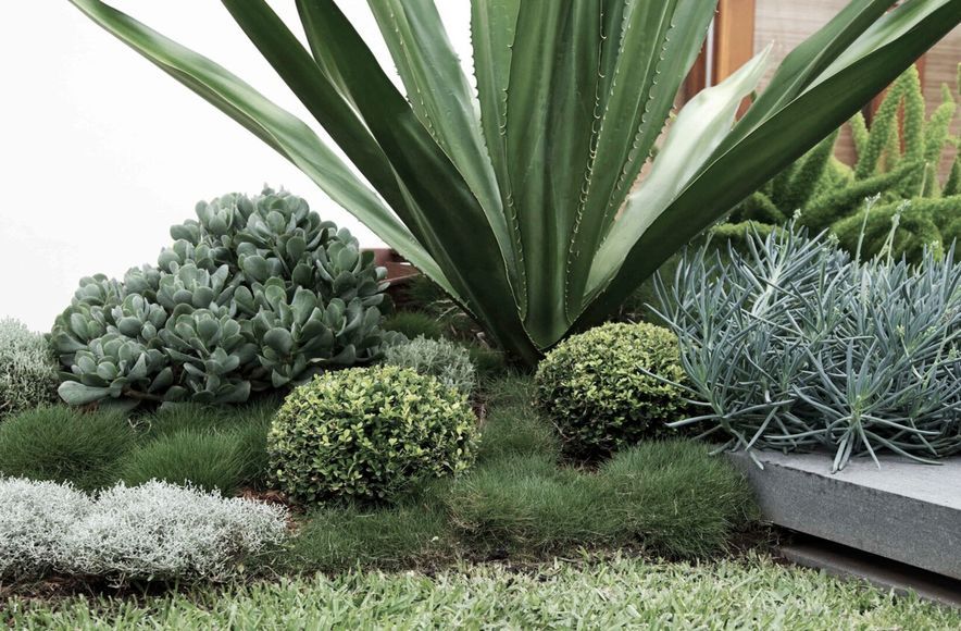Family Garden