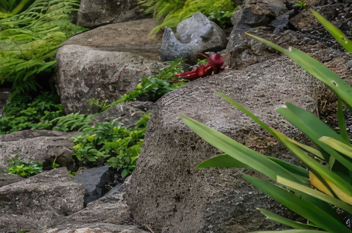 Hawaiian Landscape