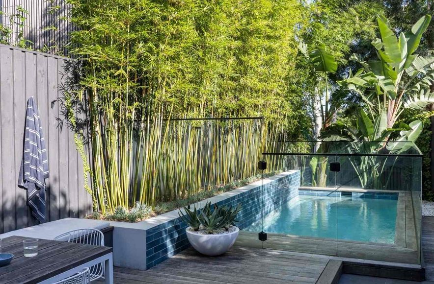 Balmain Garden