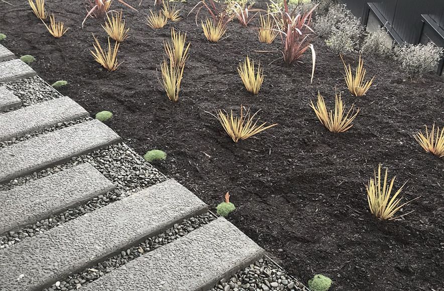 Soft Landscaping Design