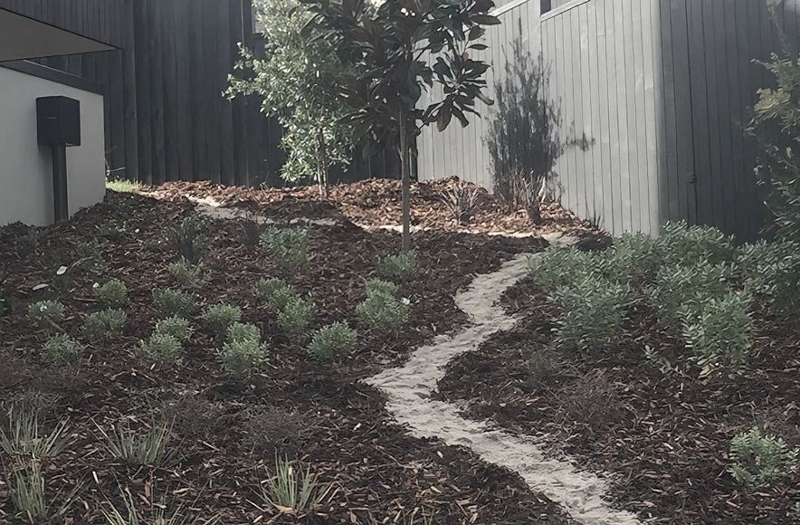 Native Planting Theme
