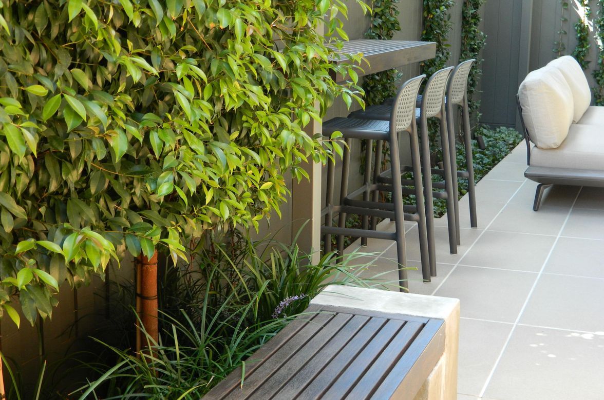 Pascoe Vale