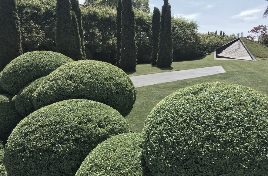 Grumpy's Garden