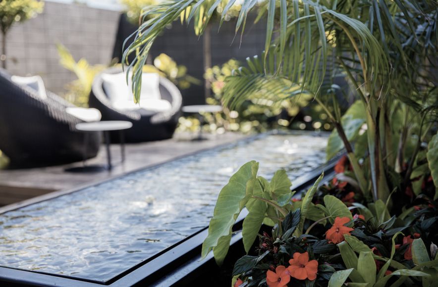 Courtyard Oasis, Hauraki
