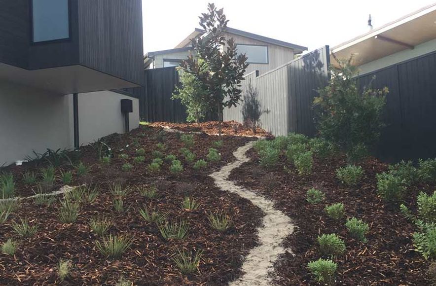 Native Planting Theme