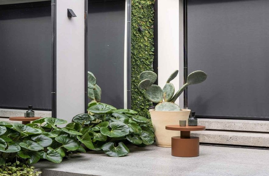 Paddington Courtyard