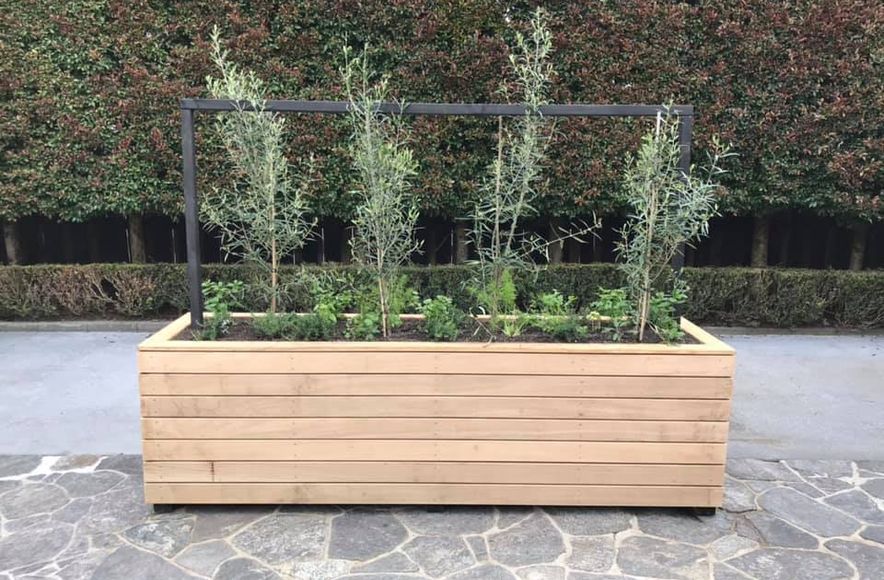 Planter Boxes