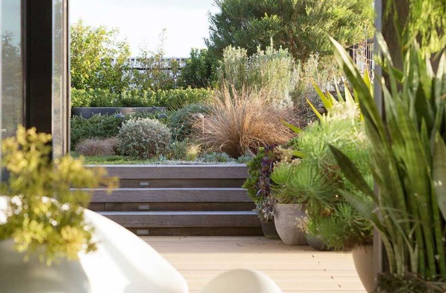 Rozelle - Rooftop Garden