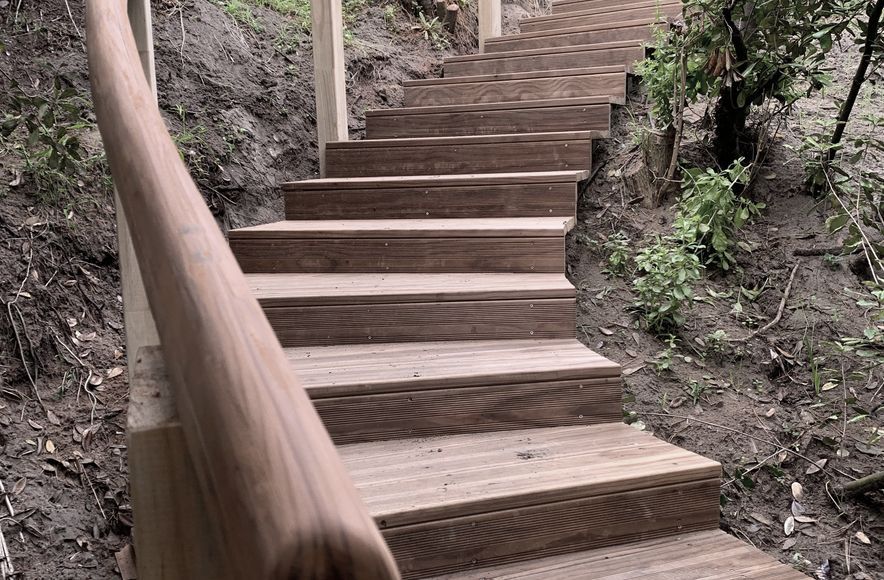 Raumati Beach - Curved Steps