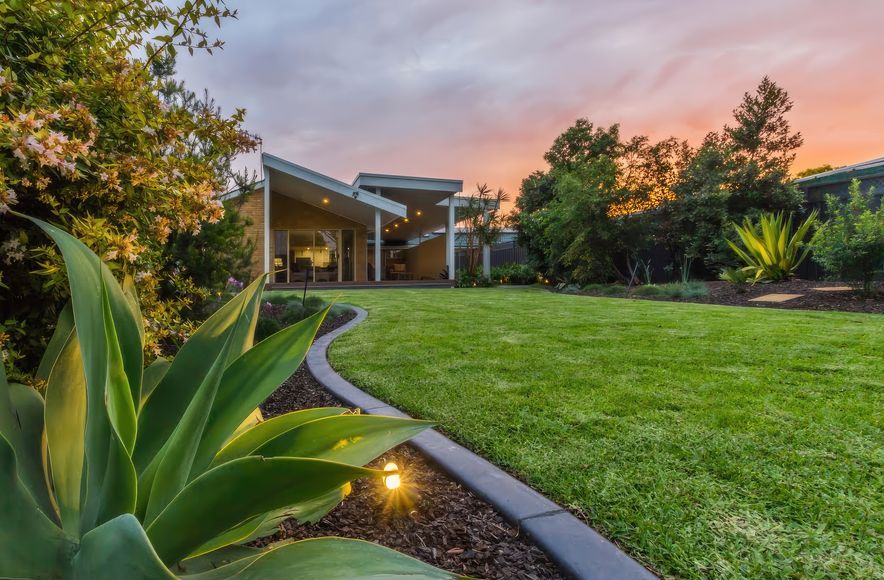 Salamander | Contemporary Garden Design