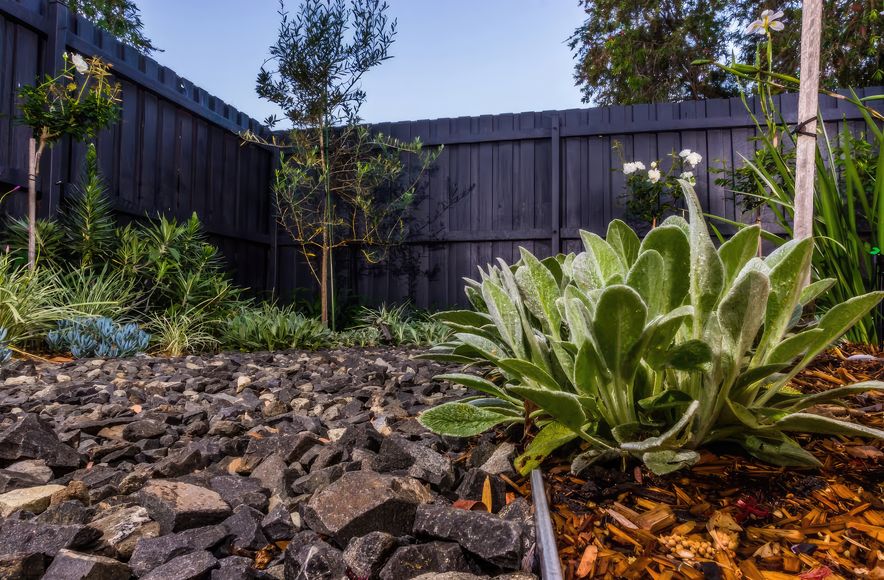The Junction | Inner City Garden Oasis