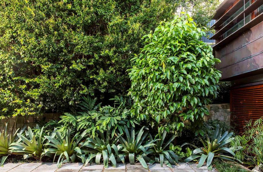 A Garden for All Seasons