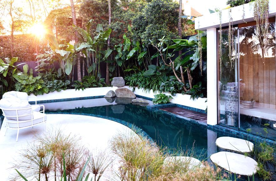 Pure Tropics