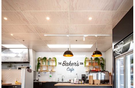Hygienic ceiling tiles printed with a timber pattern