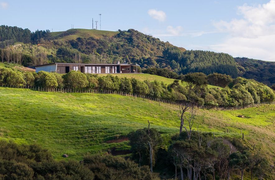 Dexters Retreat, Raglan Lifestyle